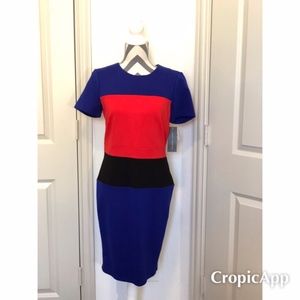 French Connection Color Block Dress